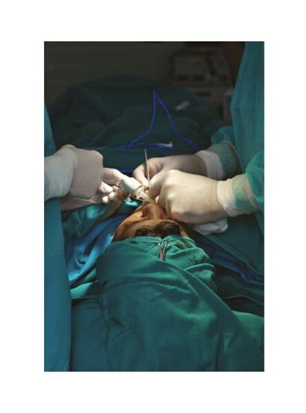 Prayers For Someone Having Surgery