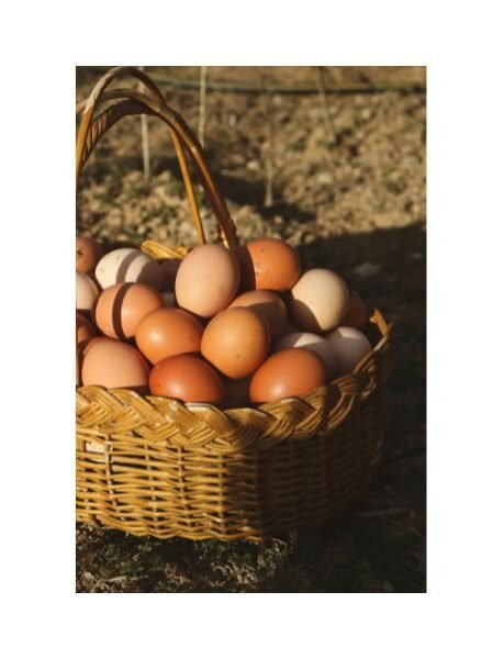 Thanksgiving Prayers For Family And Friends